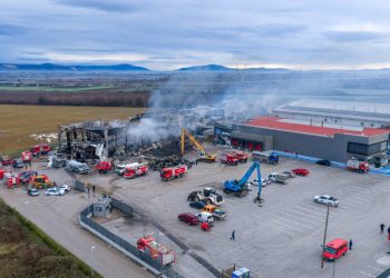 Βιολάντα: Μια υπογραφή που προκαλεί πονοκέφαλο