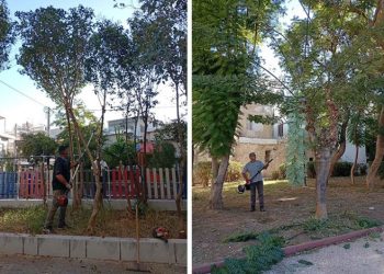 Σε εξέλιξη οι εποχικές κλαδεύσεις και οι εργασίες συντήρησης του πρασίνου στα Καμίνια και την Παλαιά Κοκκινιά από τον Δήμο Πειραιά