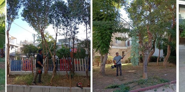 Σε  εξέλιξη οι εποχικές κλαδεύσεις και οι εργασίες συντήρησης του πρασίνου στα Καμίνια και την Παλαιά Κοκκινιά από τον Δήμο Πειραιά